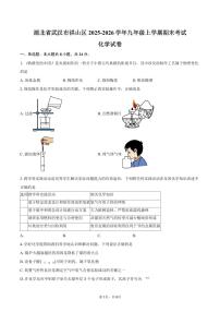 湖北省武汉市洪山区2025-2026学年九年级上学期期末考试化学试卷（含答案）