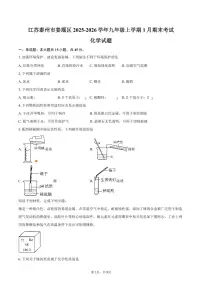 江苏泰州市姜堰区2025-2026学年九年级上学期1月期末考试化学试卷（含答案）