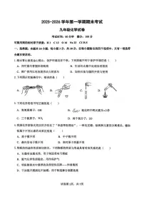 福建省漳州市龙海区2025-2026学年九年级上学期期末考试化学试题
