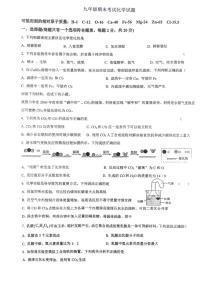 江苏徐州市沛县树人联盟学区2025-2026学年九年级上学期1月期末考试化学试题