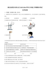 2025-2026学年湖北省武汉市洪山区九年级上学期期末考试化学试卷（含答案）