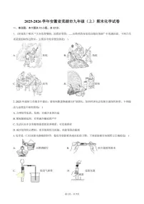 2025-2026学年安徽省芜湖市九年级（上）期末化学试卷（含答案）