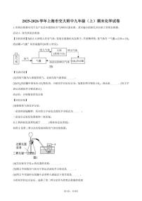 2025-2026学年上海市交大附中九年级（上）期末化学试卷（含答案）