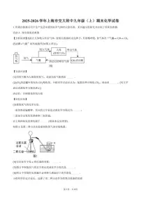 2025-2026学年上海市交大附中九年级（上）期末化学试卷（含答案）