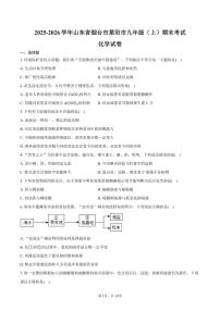 2025-2026学年山东省烟台市莱阳市九年级（上）期末化学试卷（含答案）