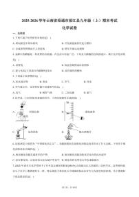 2025-2026学年云南省昭通市绥江县九年级（上）期末化学试卷（含答案）
