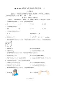 2025-2026学年辽宁省抚顺市望花区九年级上学期12月月考化学试卷（含答案）