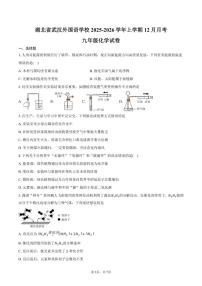 2025-2026学年湖北省武汉市武汉外国语学校上学期12月月考九年级化学试卷（含答案）