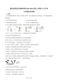 2025-2026学年湖北省武汉市武汉外国语学校上学期12月月考九年级化学试卷（含答案）