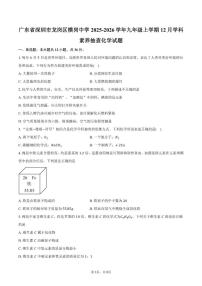 2025-2026学年广东省深圳市龙岗区横岗中学九年级上学期12月学科素养抽查化学试卷（含答案）