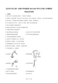 2025-2026学年北京市牛栏山第一实验中学创新班九年级上学期期末考试化学（含答案）试卷