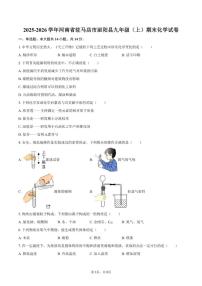 2025-2026学年河南省驻马店市泌阳县九年级（上）期末化学试卷（含答案）