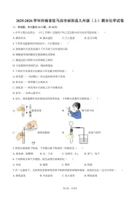 2025-2026学年河南省驻马店市泌阳县九年级（上）期末化学试卷（含答案）