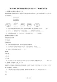2025-2026学年上海市闵行区八年级（上）期末化学试卷（含答案）