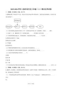 2025-2026学年上海市闵行区八年级（上）期末化学试卷（含答案）