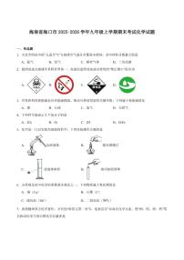 2025-2026学年海南省海口市九年级上学期1月期末考试化学试卷（含答案）