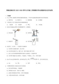 2025-2026学年青海省海东市九年级上学期期末学业质量评估化学(含答案）试卷