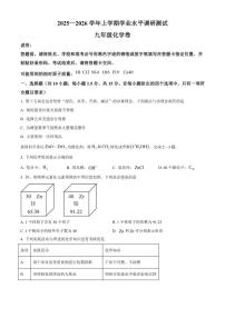 2025-2026学年广东省深圳市光明区九年级上学期期末考试化学试题（含答案）