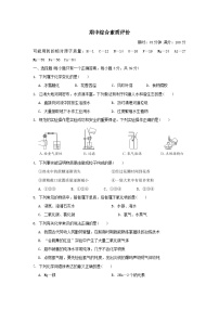 2025九年级化学上学期期中综合素质评价试卷及答案（沪教版）