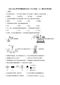 2025-2026学年河南省驻马店二中九年级（上）期末化学试卷（含答案）