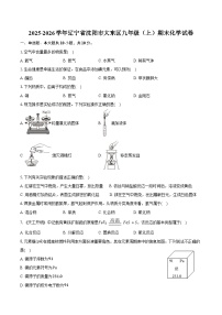 2025-2026学年辽宁省沈阳市大东区九年级（上）期末化学试卷（含答案）
