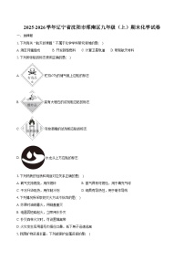 2025-2026学年辽宁省沈阳市浑南区九年级（上）期末化学试卷（含答案）