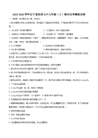 2025-2026学年辽宁省沈阳七中九年级（上）期末化学模拟试卷（含答案）