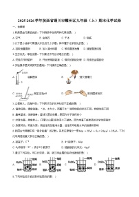 2025-2026学年陕西省铜川市耀州区九年级（上）期末化学试卷（含答案）