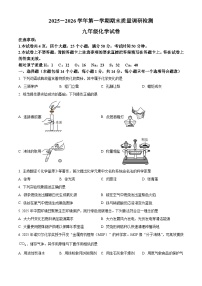 河南省洛阳市伊川县2025-2026学年九年级上学期期末质量调研检测化学试卷（试卷+解析）
