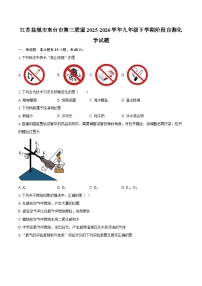 江苏盐城市东台市第三联盟2025-2026学年九年级下学期阶段自测化学试题-自定义类型