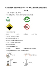江苏盐城市东台市第四联盟2025-2026学年九年级下学期阶段自测化学试题-自定义类型