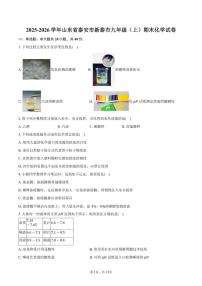 山东省泰安市新泰市2025～2026学年九年级(上)期末化学试卷(含答案)