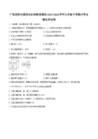 广东深圳市福田区红岭教育集团2025-2026学年九年级下学期开学自测化学试卷-自定义类型