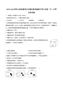 2025-2026学年山东省青岛市市南区青岛超银中学九年级（下）开学化学试卷-自定义类型