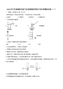 2026年江苏省南通市海门区东洲国际学校中考化学模拟试卷（一）-自定义类型