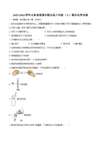 2025-2026学年山东省淄博市桓台县八年级（上）期末化学试卷-自定义类型