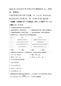2026年山东济宁市中考模拟化学试卷含答案