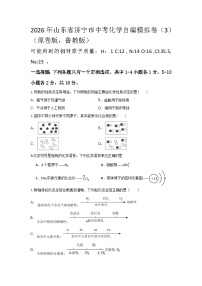 2026年山东济宁市中考模拟化学试卷含答案（3）