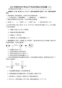 2025年广东省深圳市初中学业水平考试化学综合评估试题（八）含答案