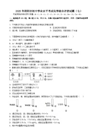 2025年广东省深圳市初中学业水平考试化学综合评估试题（七）含答案