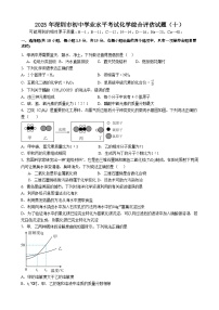 2025年广东省深圳市初中学业水平考试化学综合评估试题（十）含答案