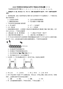 2025年广东省深圳市龙岗区化学中考模拟试卷含答案（一）