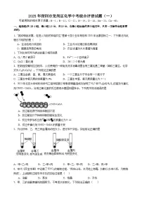 2025年广东省深圳市龙岗区化学中考模拟试卷含答案（一）
