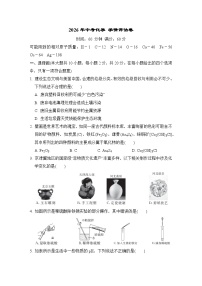 2026年河北省中化学中考模拟试卷含答案