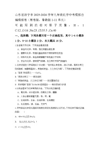 2026年山东省济宁市化学中考模拟试卷含答案