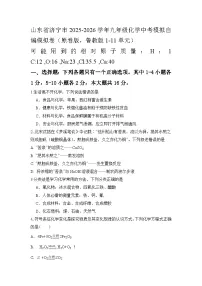 2026年山东省济宁市化学中考模拟试卷含答案
