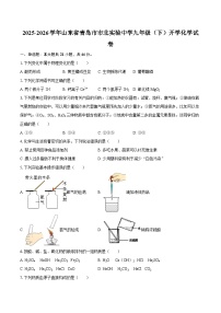 2025-2026学年山东省青岛市市北实验中学九年级（下）开学化学试卷-自定义类型