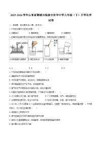 2025-2026学年山东省聊城市临清市京华中学九年级（下）开学化学试卷-自定义类型
