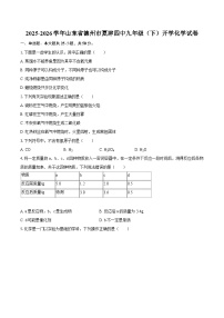 2025-2026学年山东省德州市夏津四中九年级（下）开学化学试卷-自定义类型