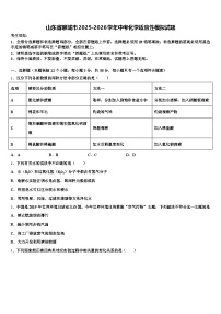 山东省聊城市2025-2026学年中考化学适应性模拟试题（含答案解析）